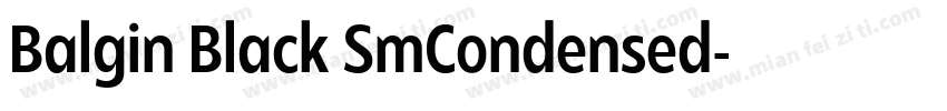 Balgin Black SmCondensed字体转换